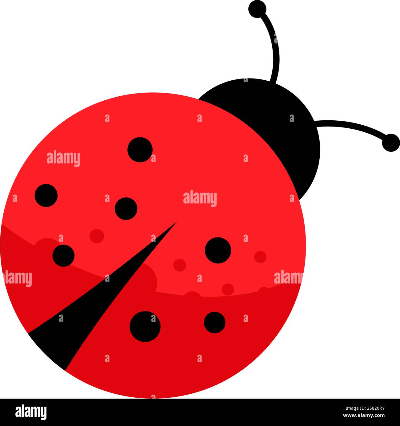 Ladybug - vector illustration Stock Vector Image & Art - Alamy