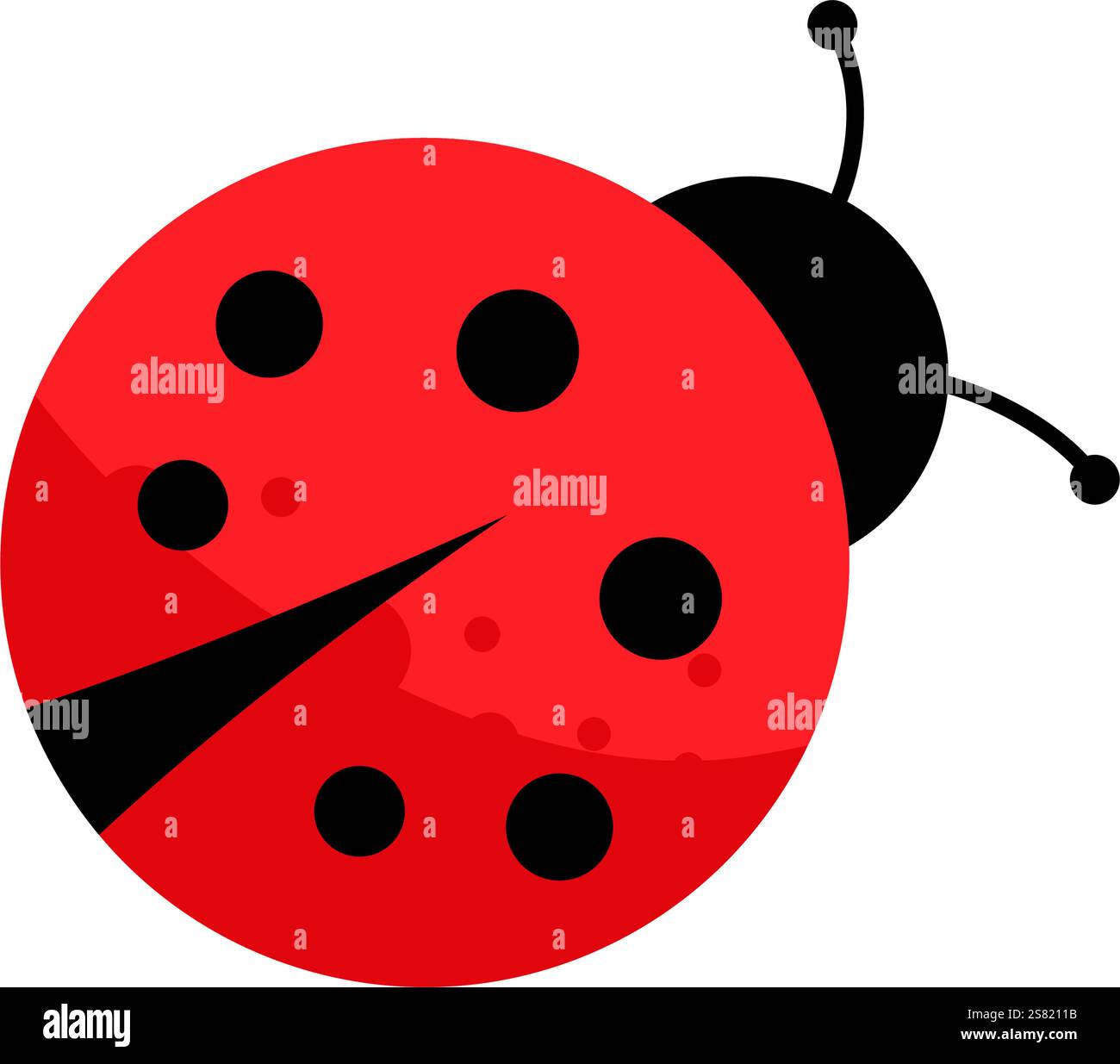 Ladybug - vector illustration Stock Vector Image & Art - Alamy