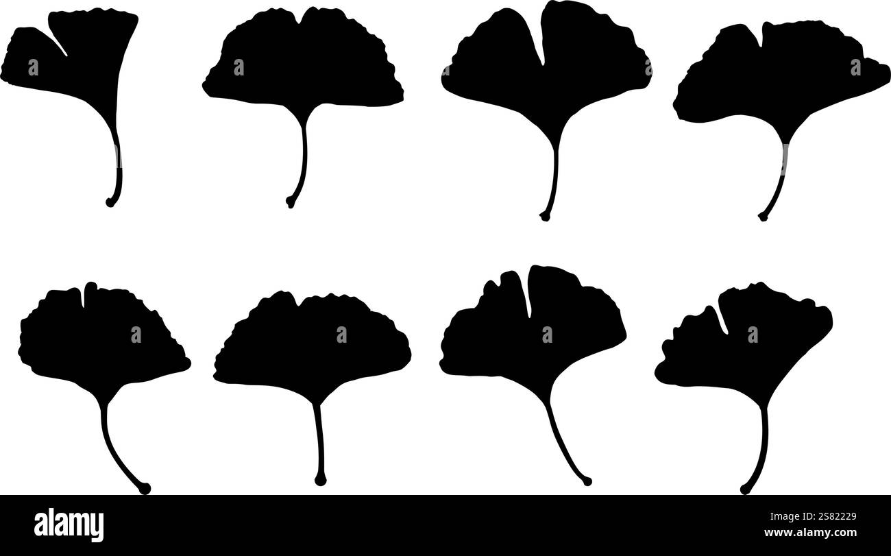 set of ginkgo leaf silhouettes Stock Vector Image & Art - Alamy