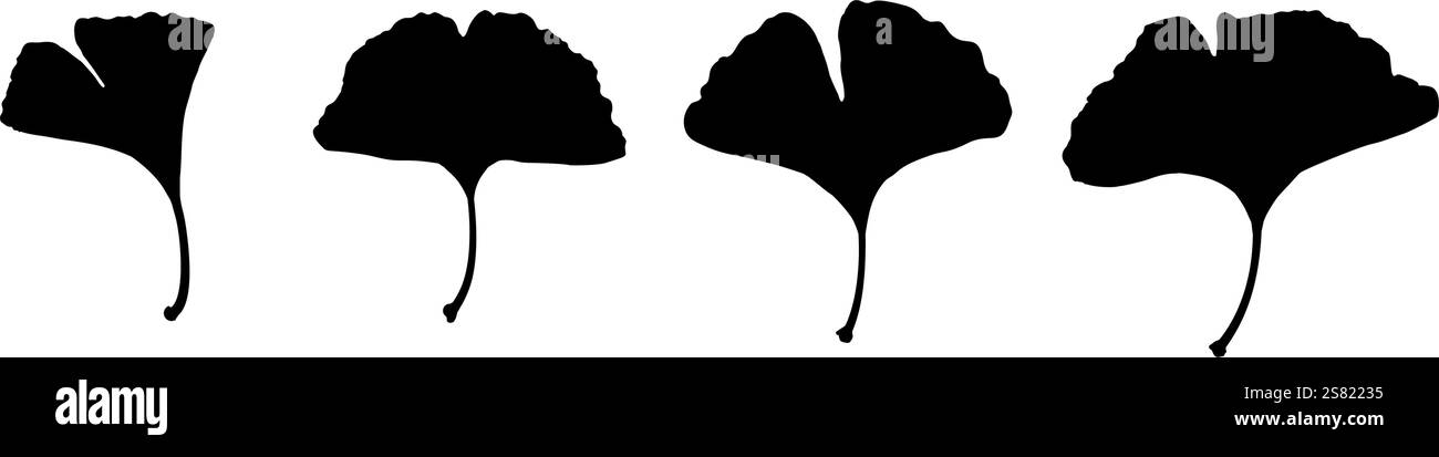 set of ginkgo leaf silhouettes Stock Vector Image & Art - Alamy