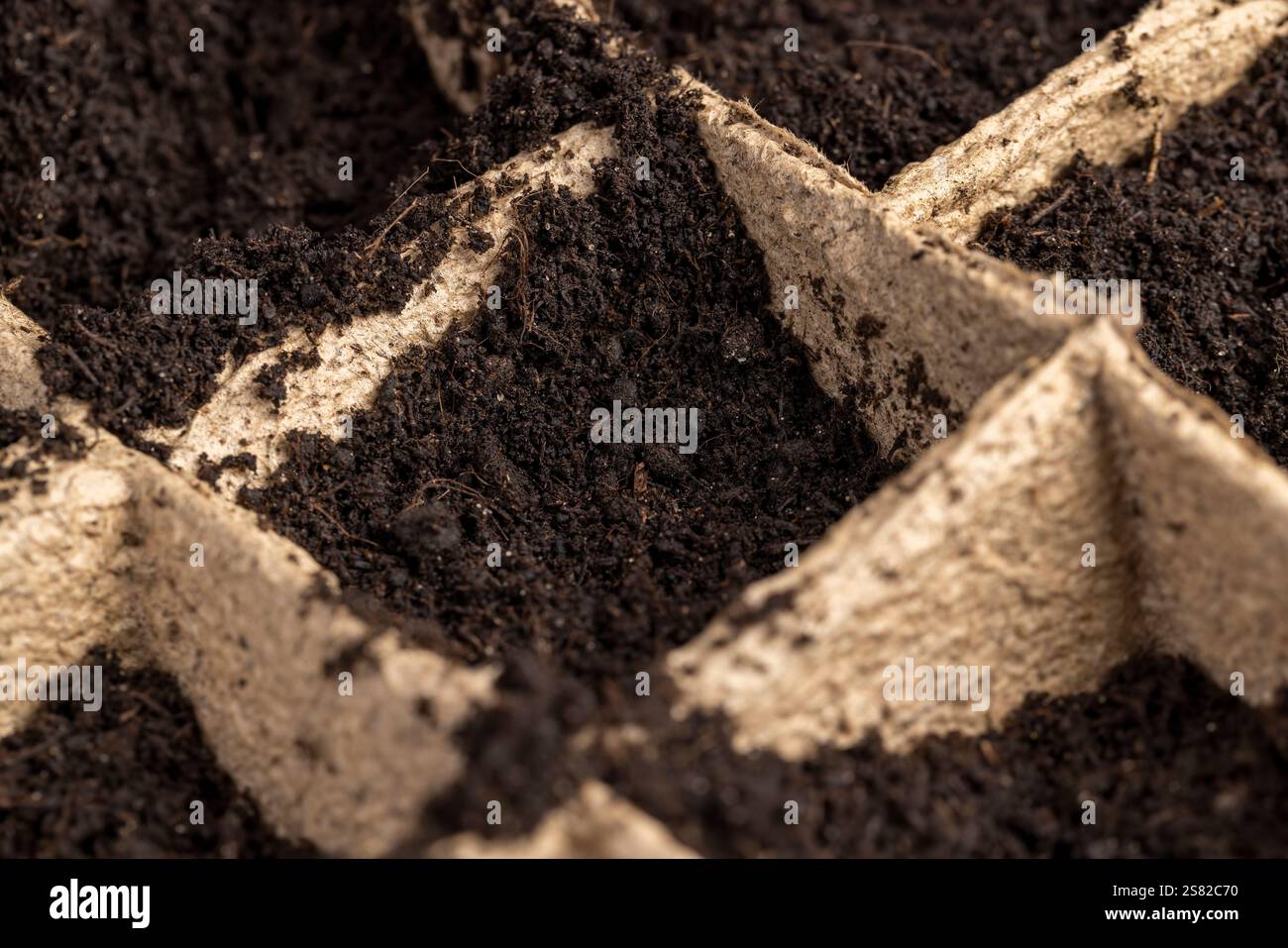cups for seedlings with soil, black soil into paper cups for seedlings ...