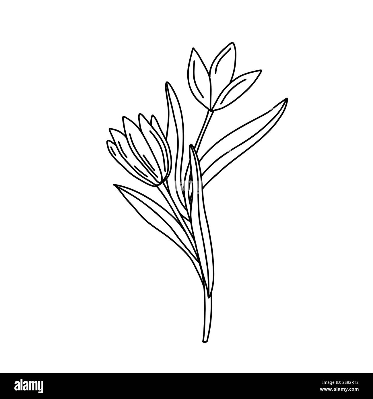 Black and white vector illustration of a single tulip flower with ...