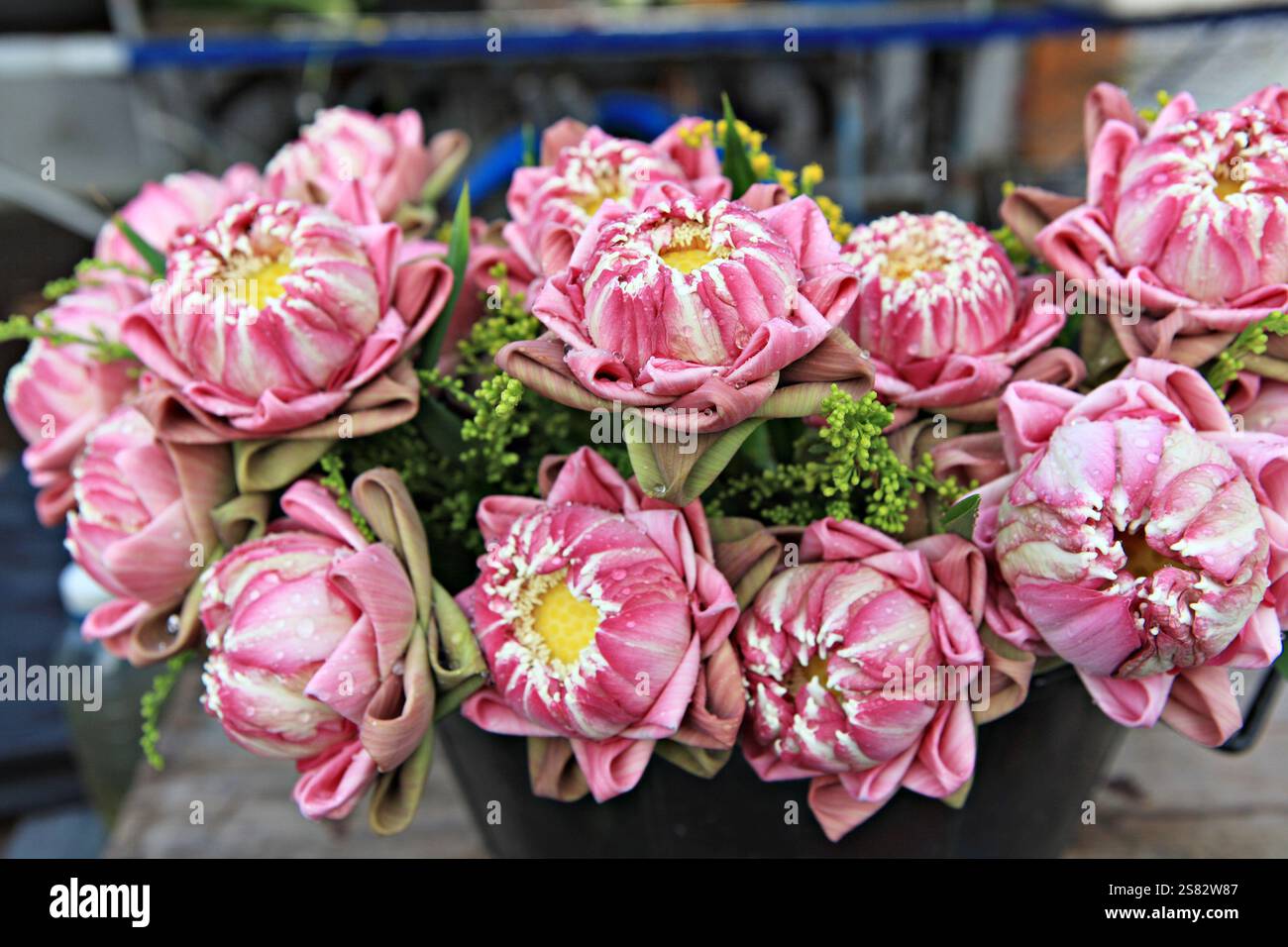 Praying with lotus flowers hi-res stock photography and images - Alamy