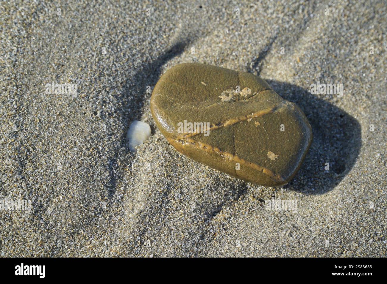Smooth stone, in closeup, on damp beach sand. Stock Photo