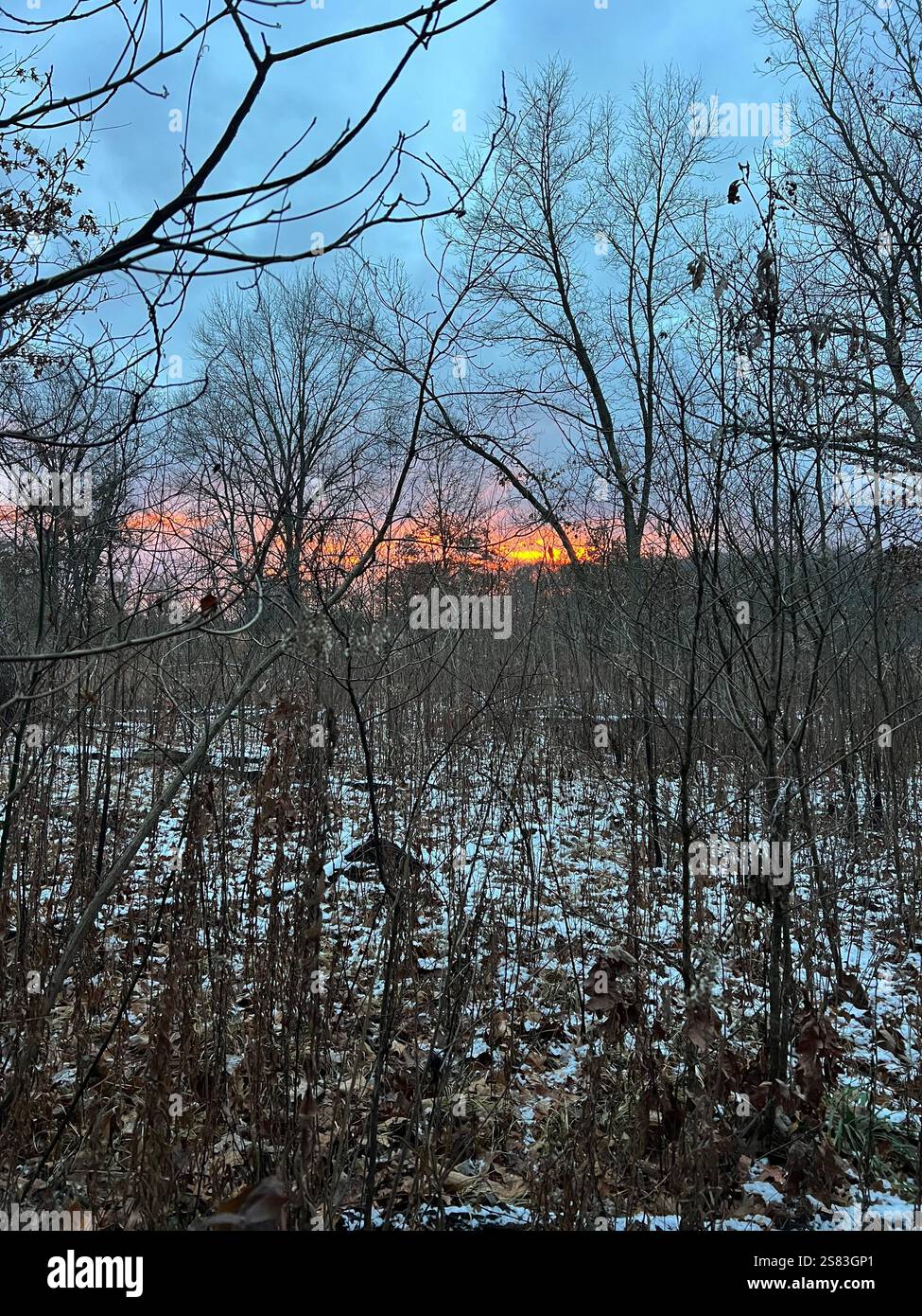 Indiana Late Season Hunting - Smartphone Captured Stock Image