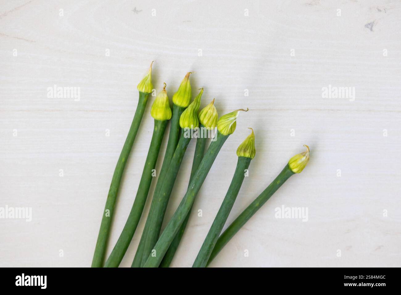 Fresh spring onions (scallions), also known as green onions, are edible ...