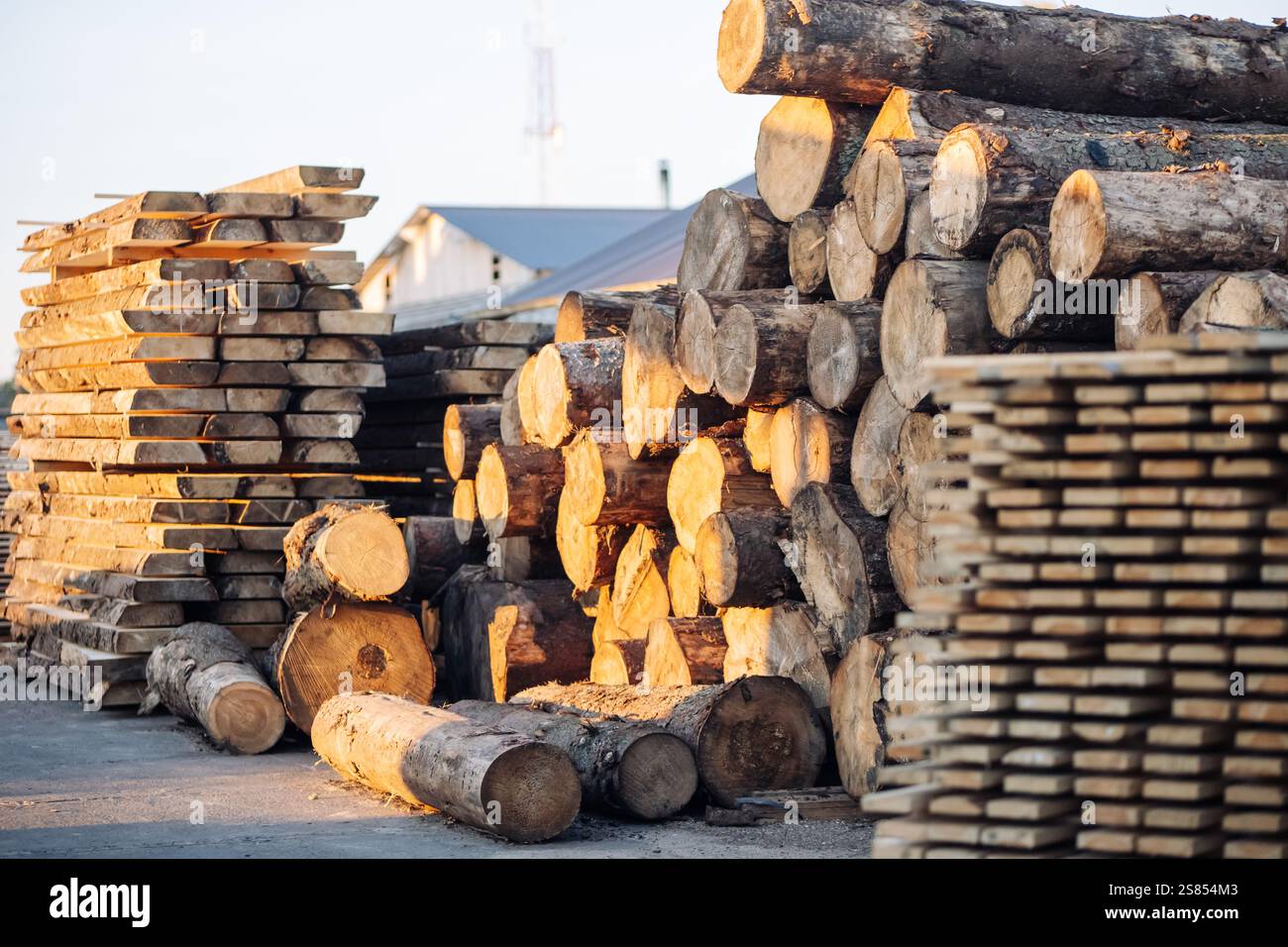 Wood logs piling near russian sawmill, awaiting processing and shipping Stock Photo