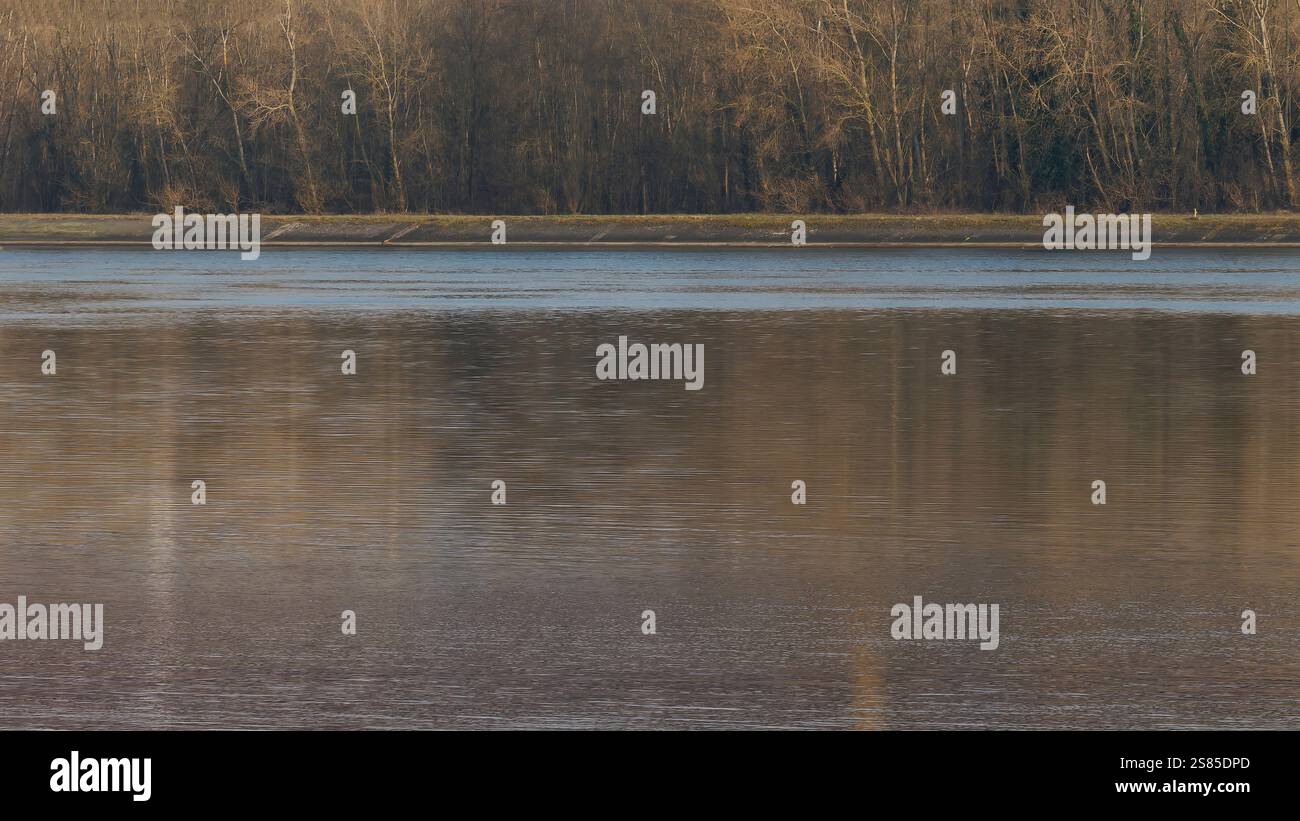 Serene watery habitat hi-res stock photography and images - Alamy