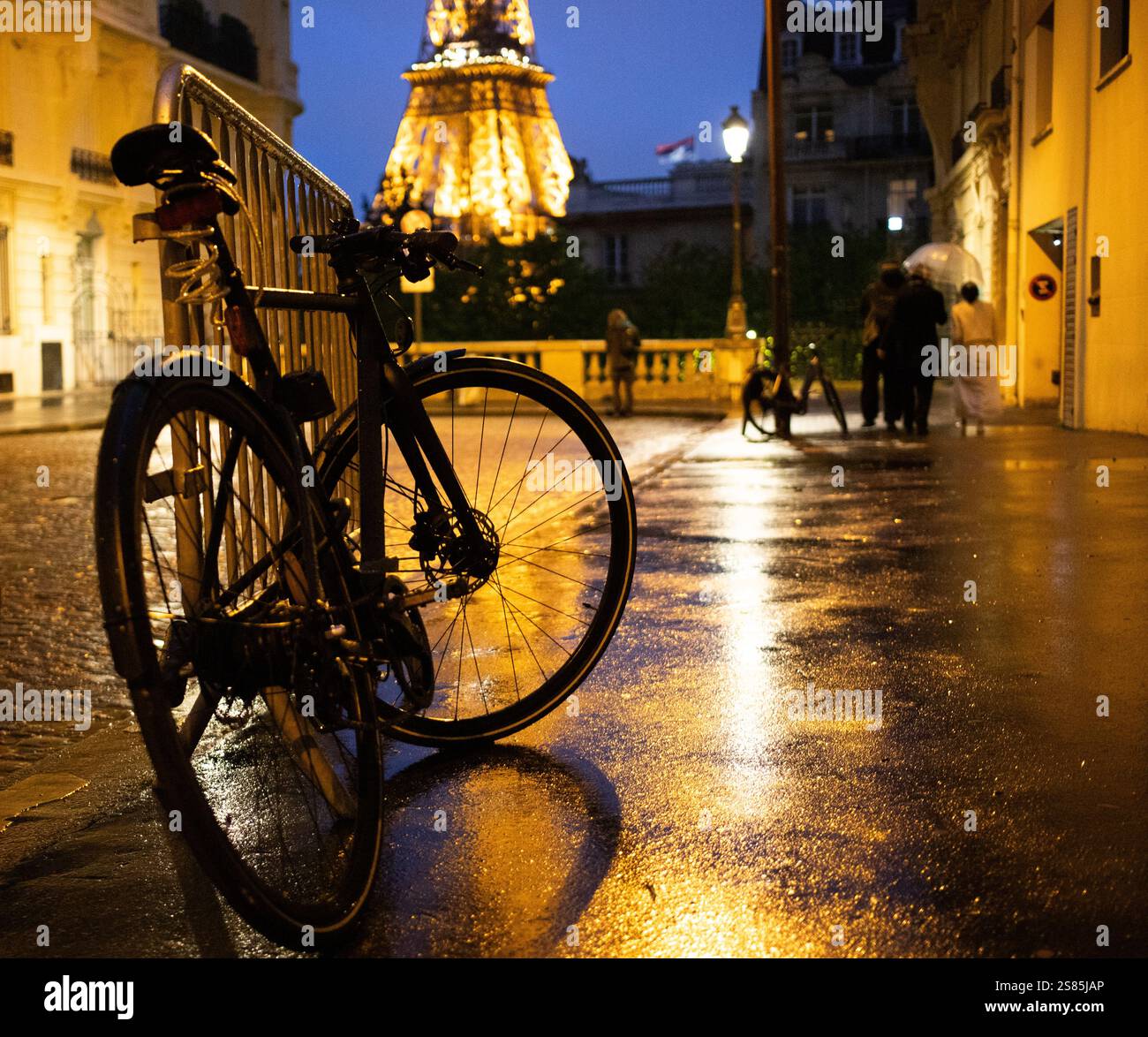 Streets of Paris on rainy night, Paris, France Stock Photo