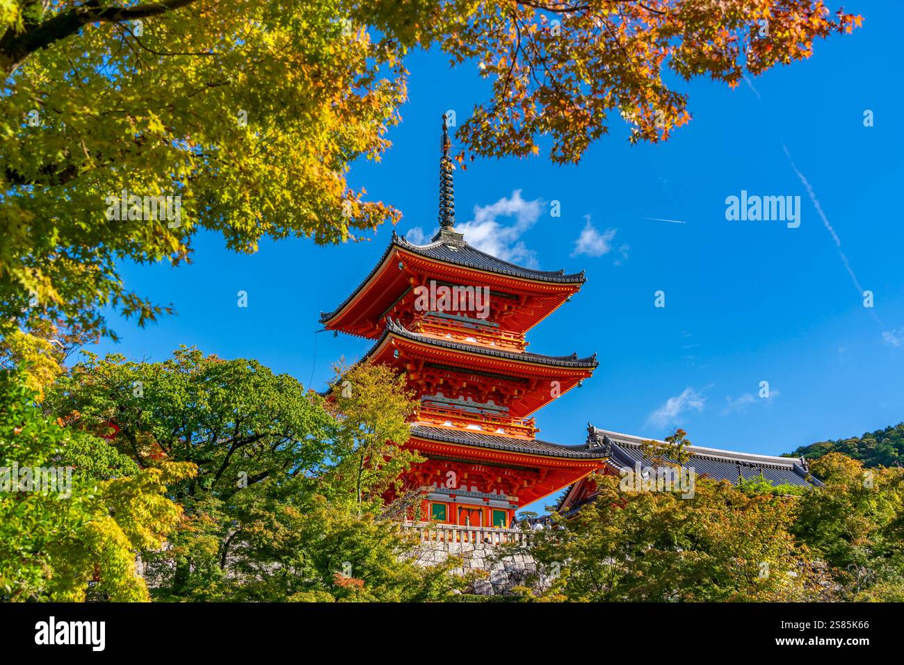 View of Kiyomizu-dera Temple and trees with autumn colours, UNESCO, Kiyomizu, Higashiyama Ward, Kyoto, Honshu, Japan Stock Photo
