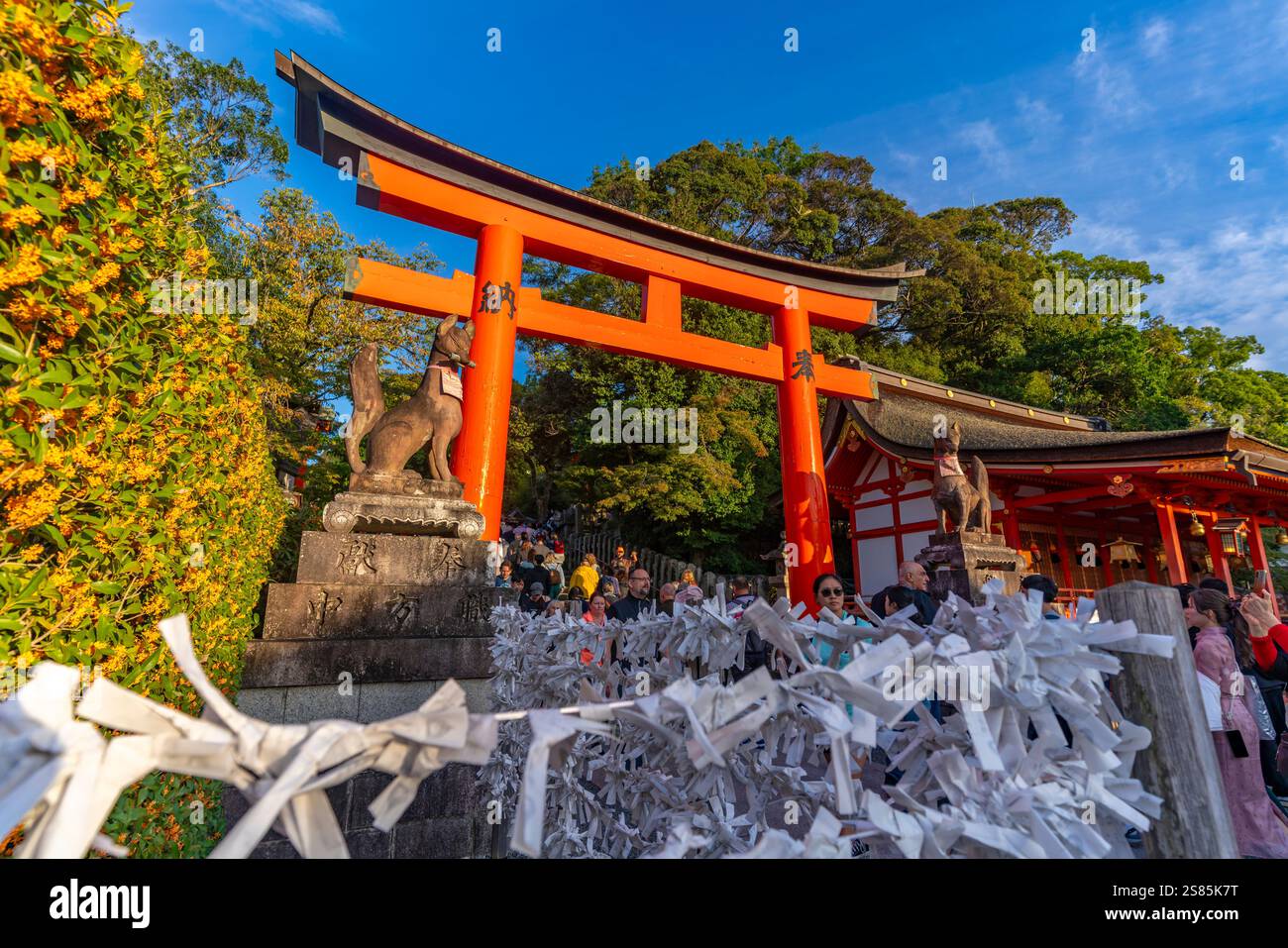View of Fushimi Inari Shrine at dusk, Fukakusa Yabunouchicho, Fushimi Ward, Kyoto, Honshu, Japan Stock Photo