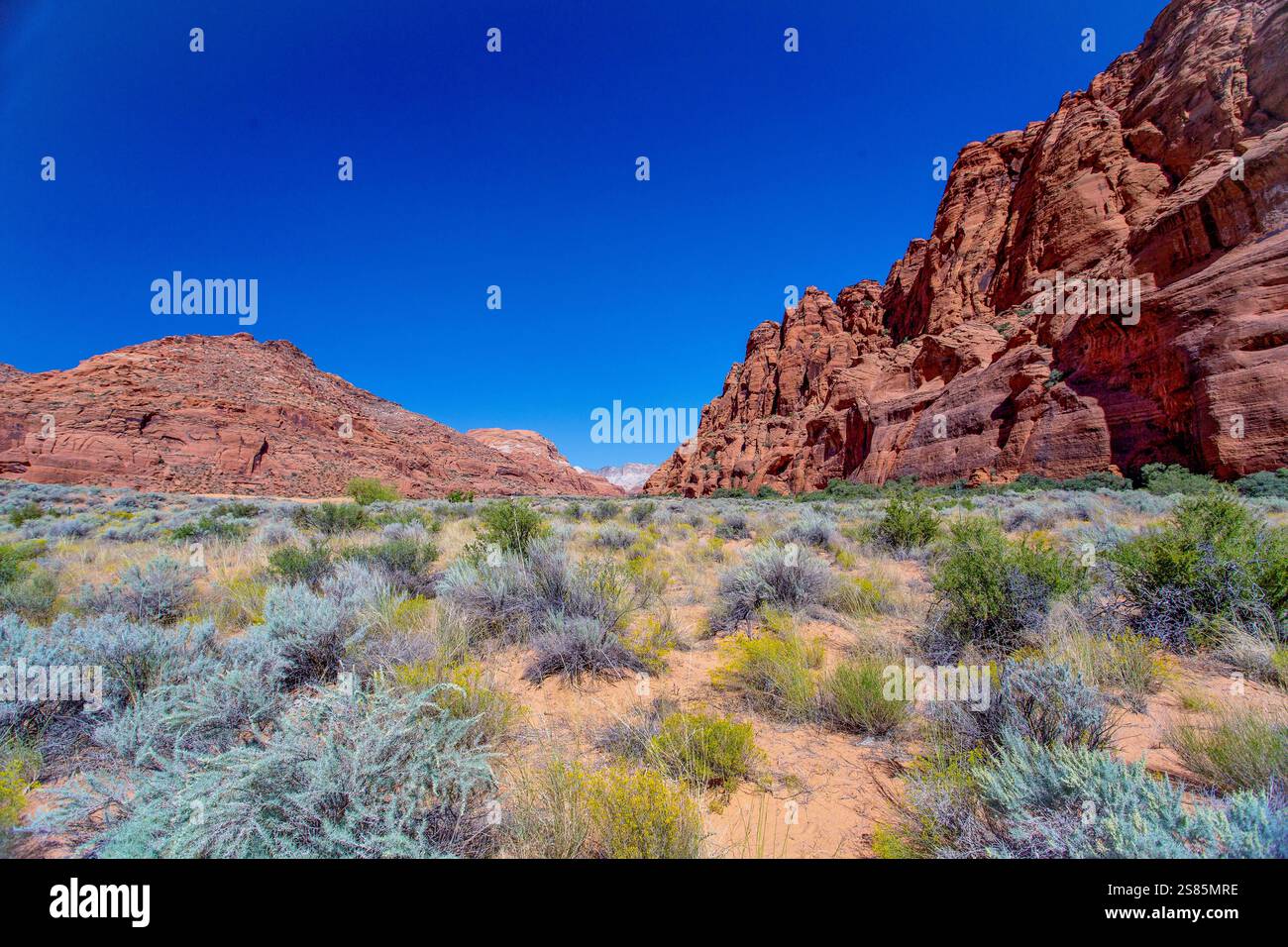 Close to entrance to Jenny's Canyon, Snow Canyon State Park, near St ...