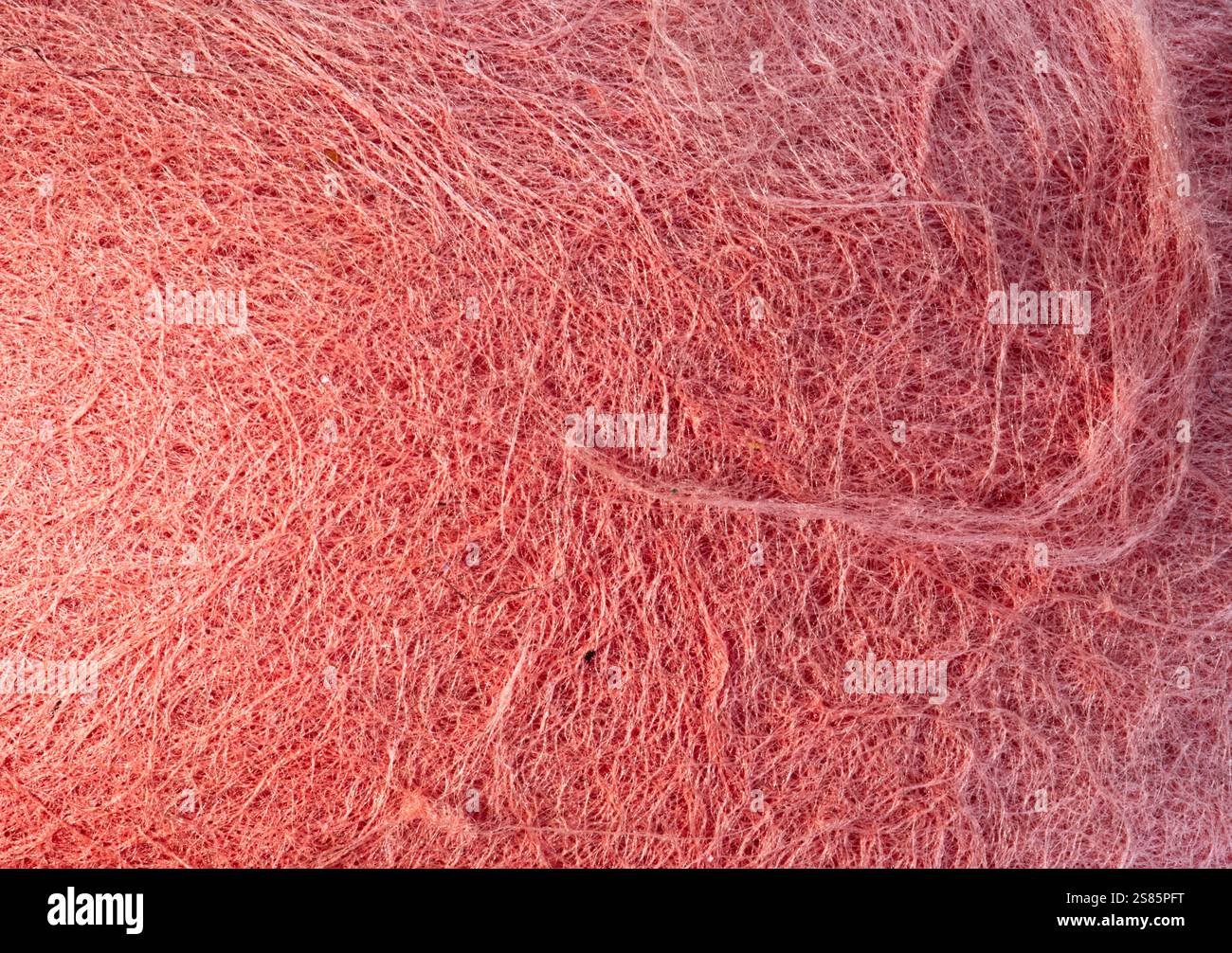 Close view of red felt texture Stock Photo