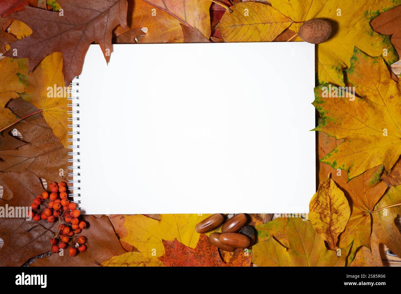 Mockup notebook hi-res stock photography and images - Alamy