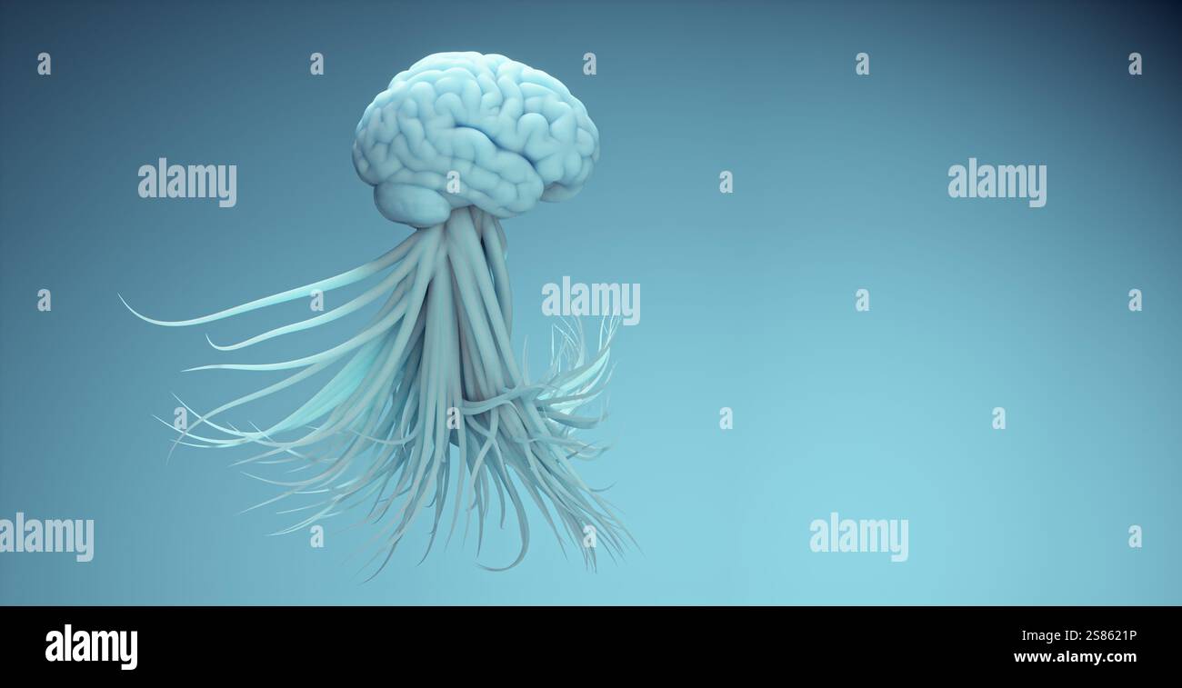 Conceptual human brain. Deep learning and neuroscience concept. This is ...