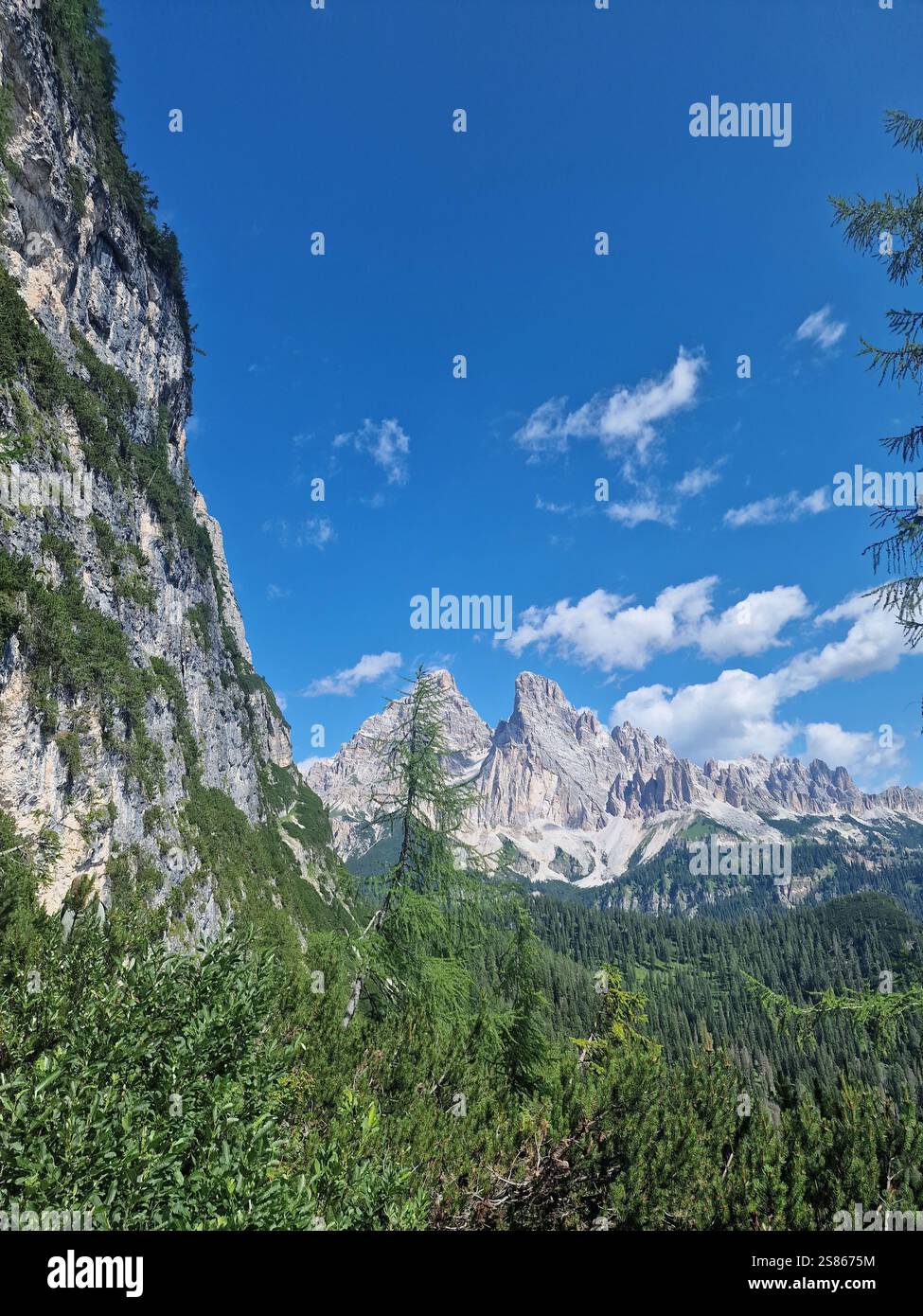 Stunning mountain landscape with lush green forests in the valleys and ...