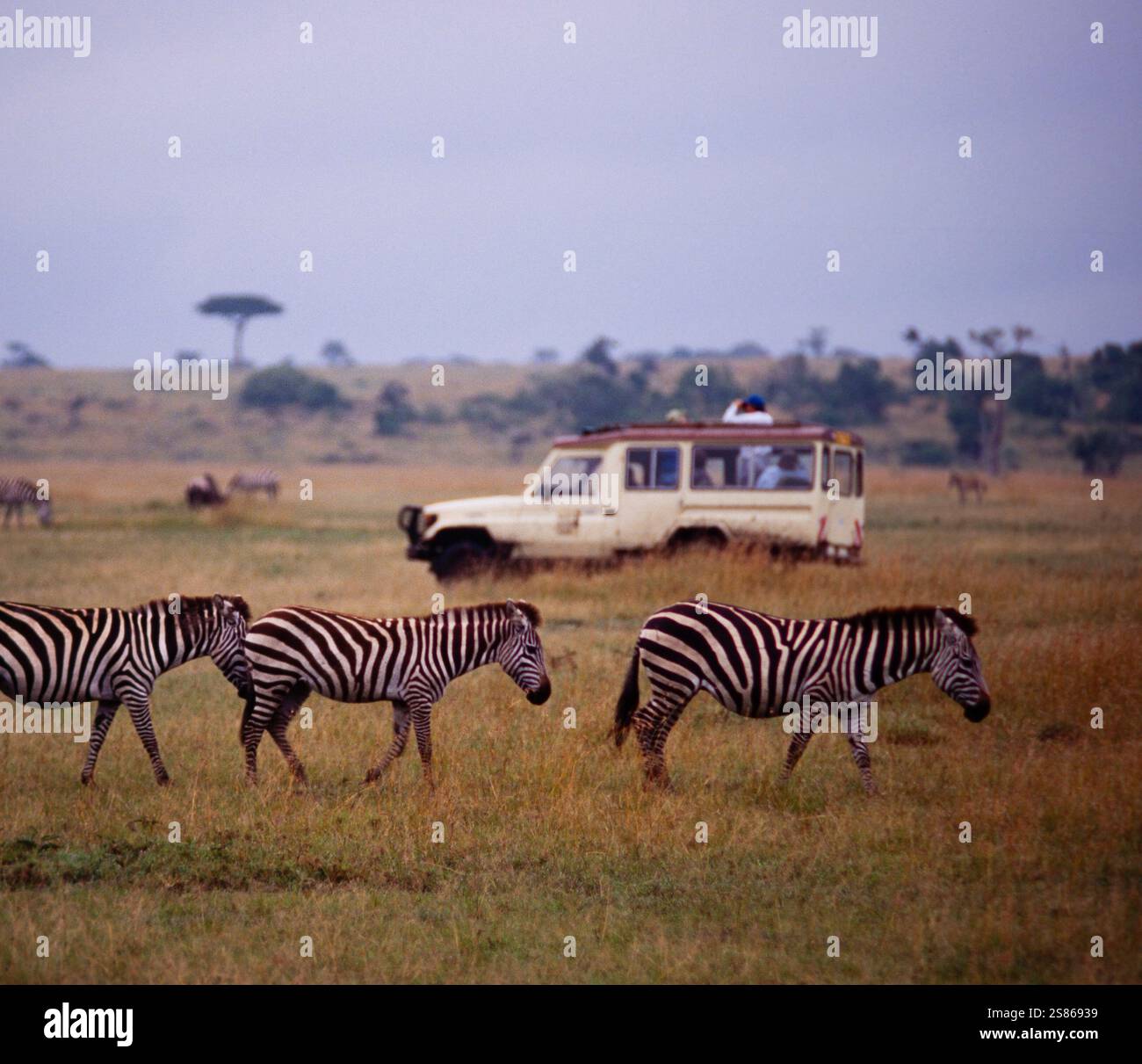 Kenya safari travel hi-res stock photography and images - Alamy