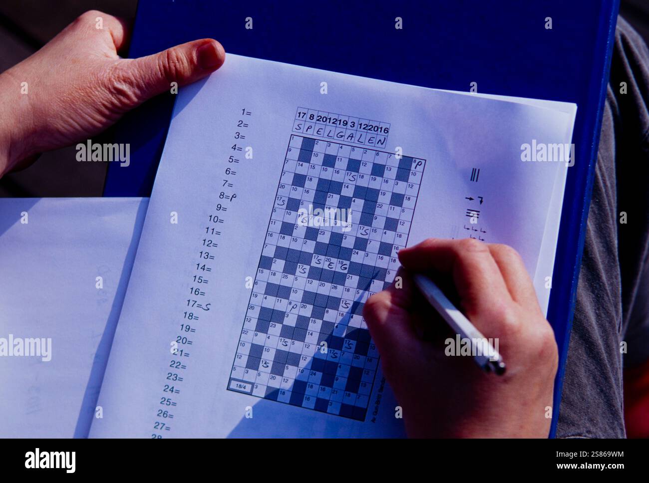 Crossword construction Stock Photo