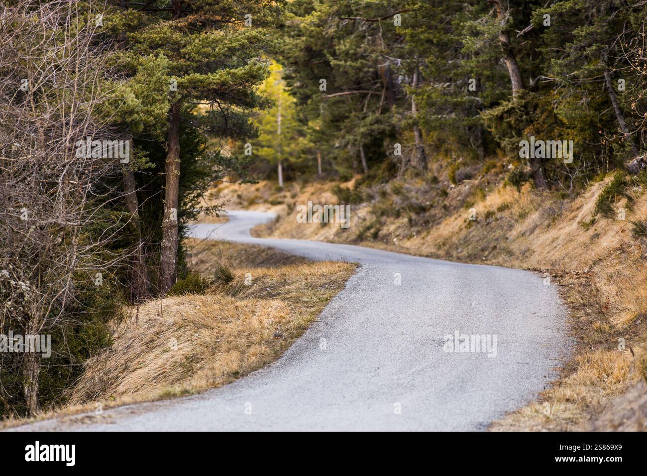 Illustration Landscape Recce Reconnaissances during the Rallye
