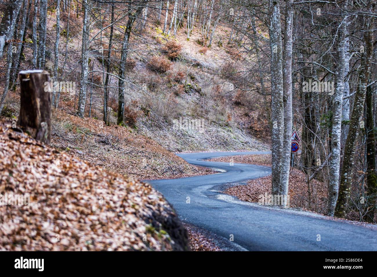 Illustration Landscape Recce Reconnaissances during the Rallye