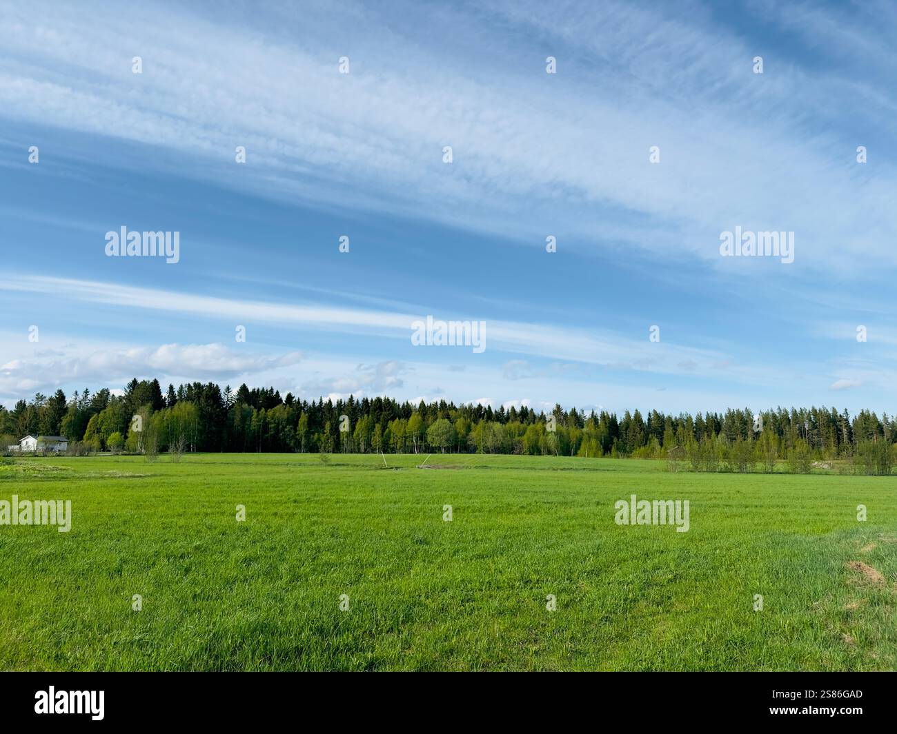 Beautiful summer landscape in north of Sweden Stock Photo
