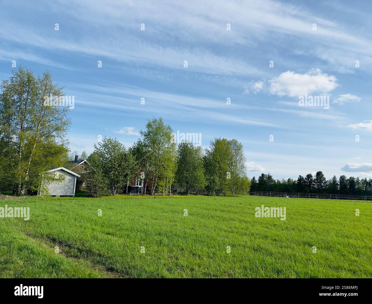 Beautiful summer landscape in north of Sweden Stock Photo