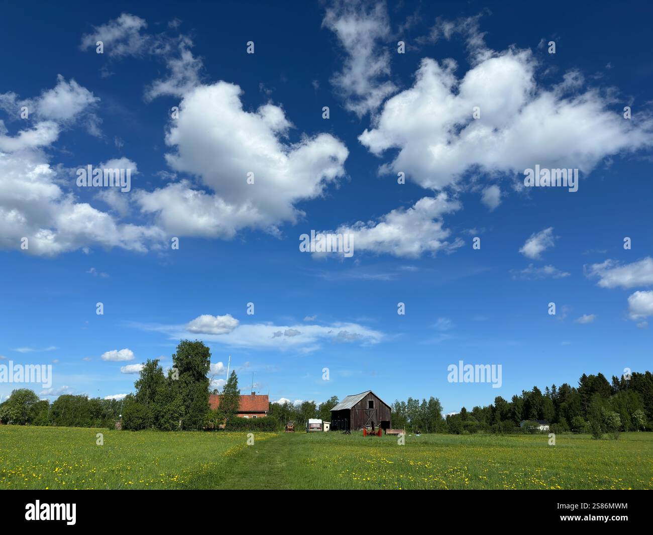 Beautiful summer landscape in north of Sweden Stock Photo