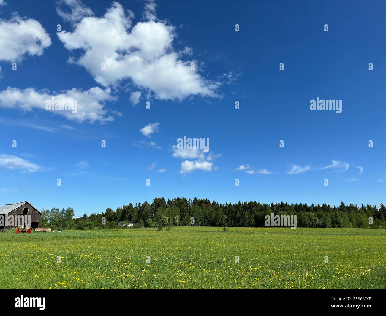 Beautiful summer landscape in north of Sweden Stock Photo