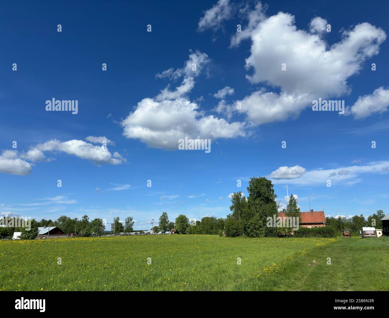 Beautiful summer landscape in north of Sweden Stock Photo