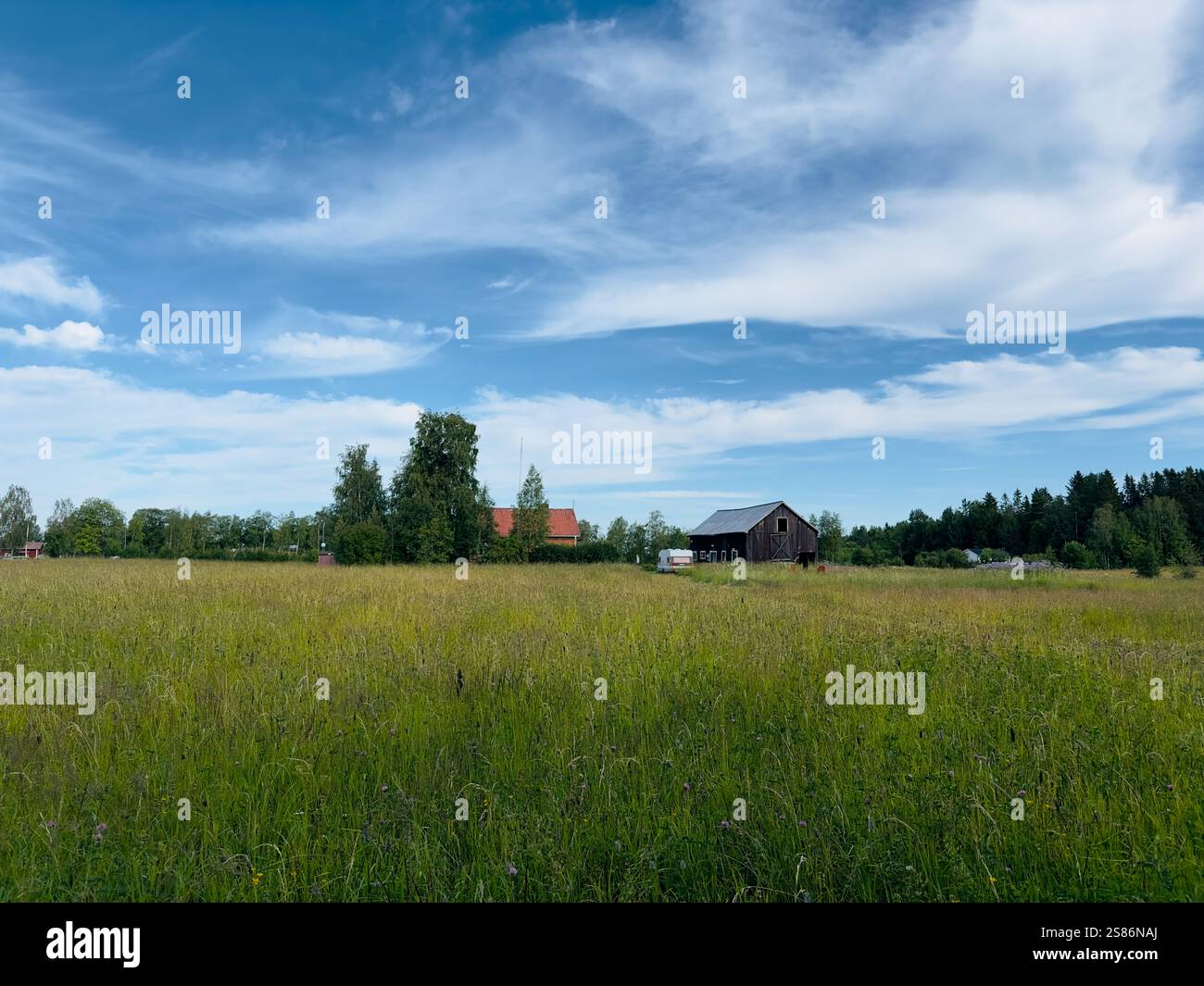 Beautiful summer landscape in north of Sweden Stock Photo