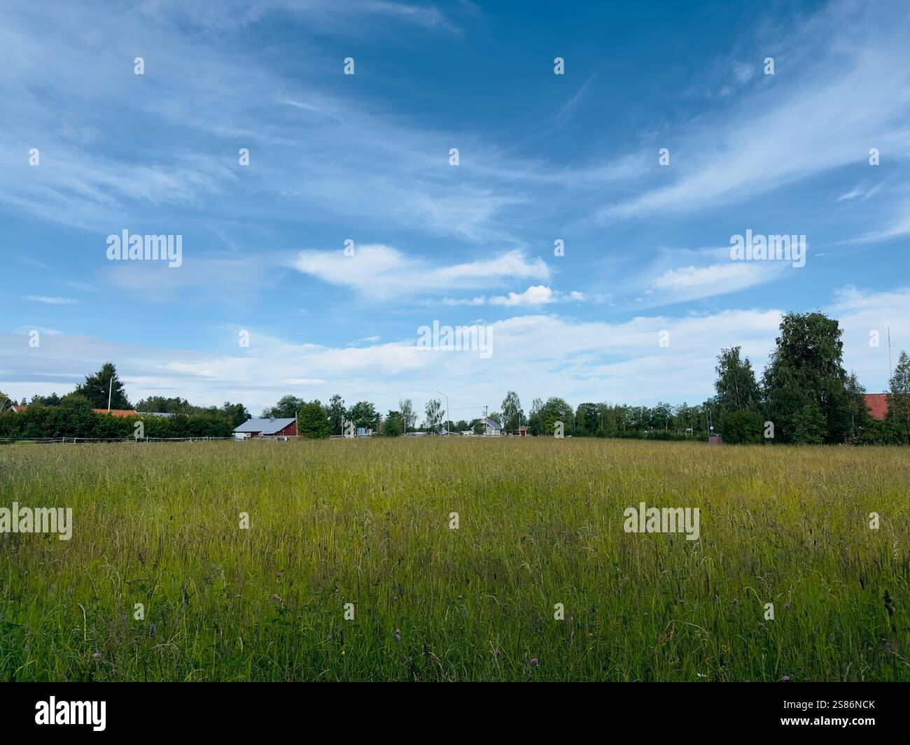 Beautiful summer landscape in north of Sweden Stock Photo