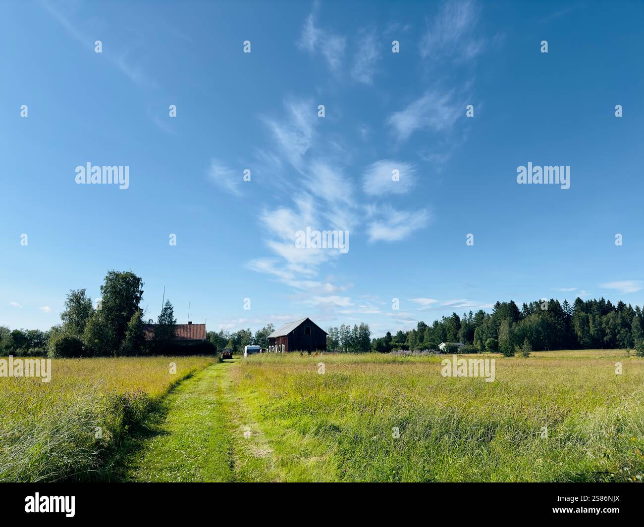 Beautiful summer landscape in north of Sweden Stock Photo