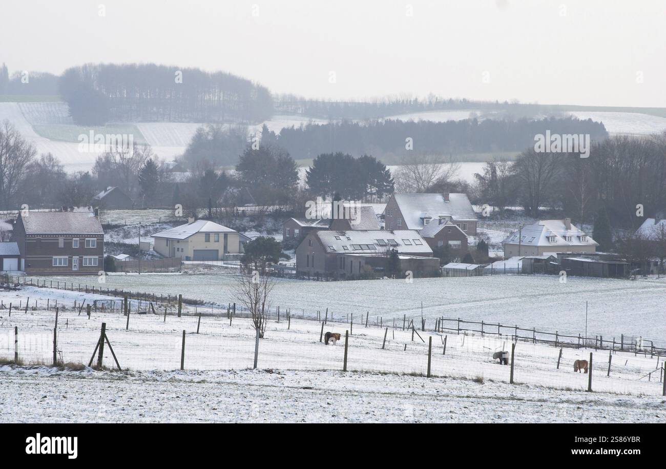 Winter farm land, horses behind a wired fence Stock Photo