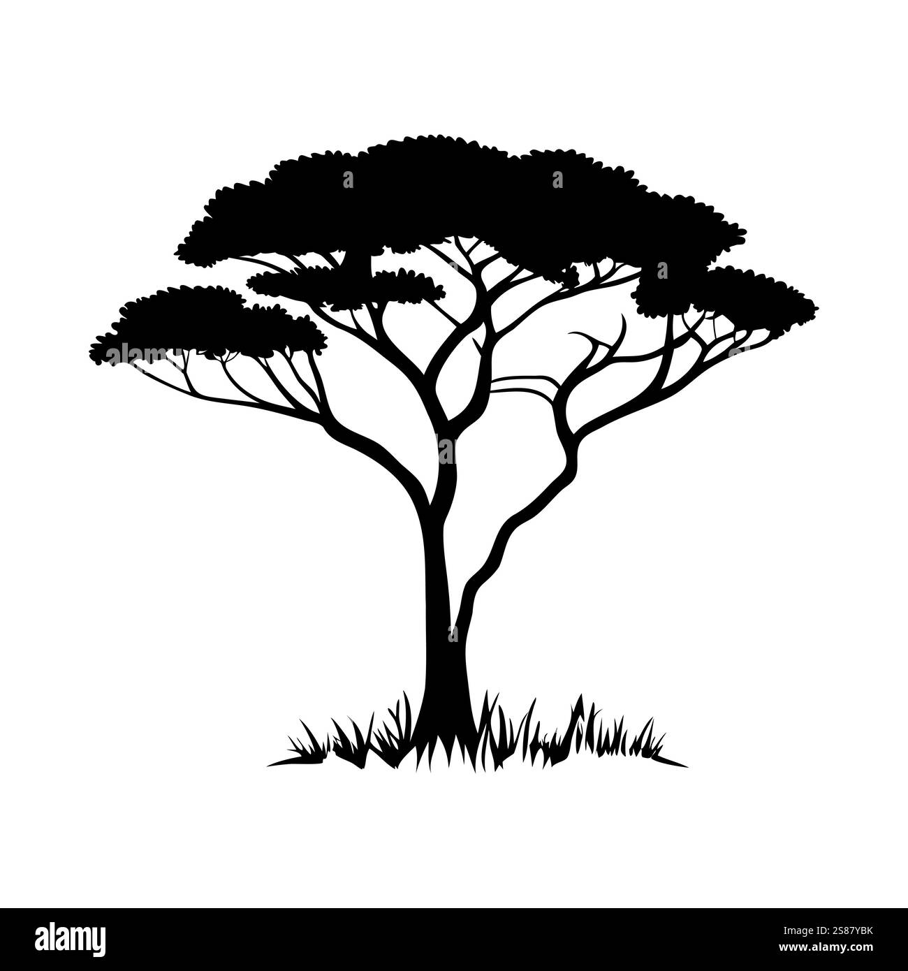 Black silhouette of an acacia tree growing in the african savanna. Isolated tree silhouette. Vector illustration Stock Vector