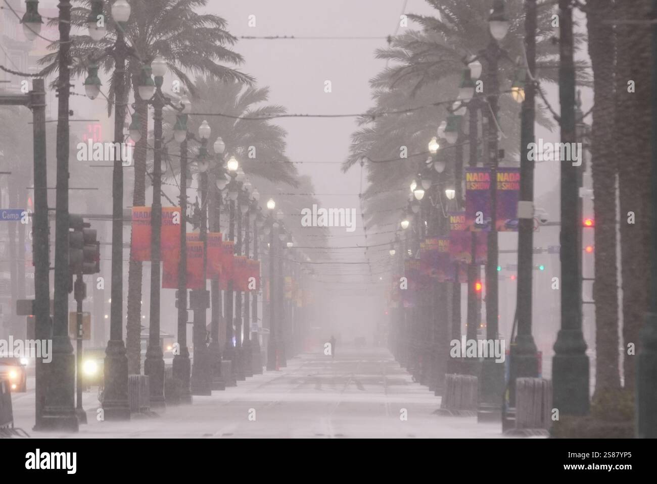 SNOW in New Orleans?! Unbelievable Photos & Videos