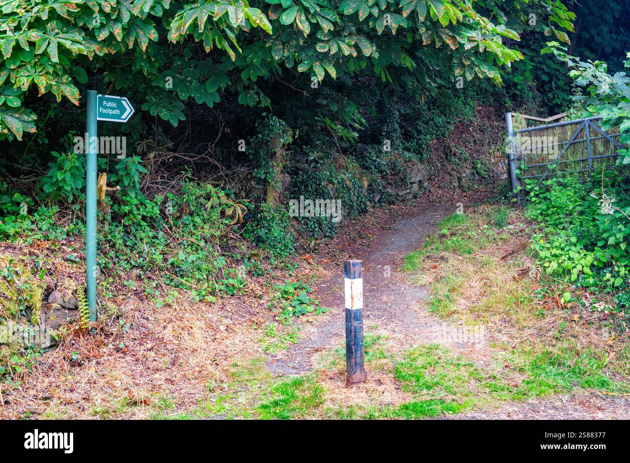 Ascending pedestrian lane hi-res stock photography and images - Alamy