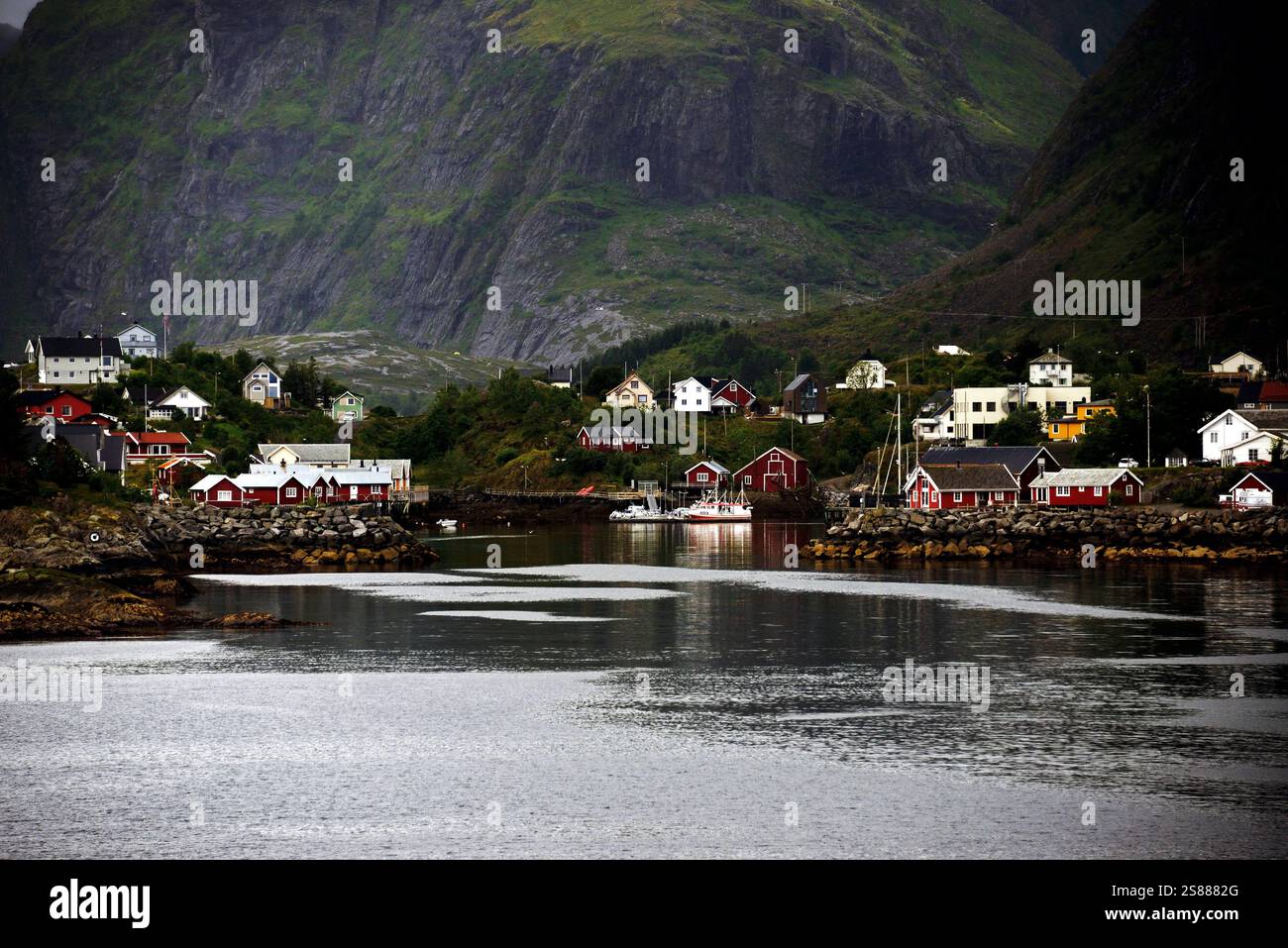 Lofoten Fhre Preise