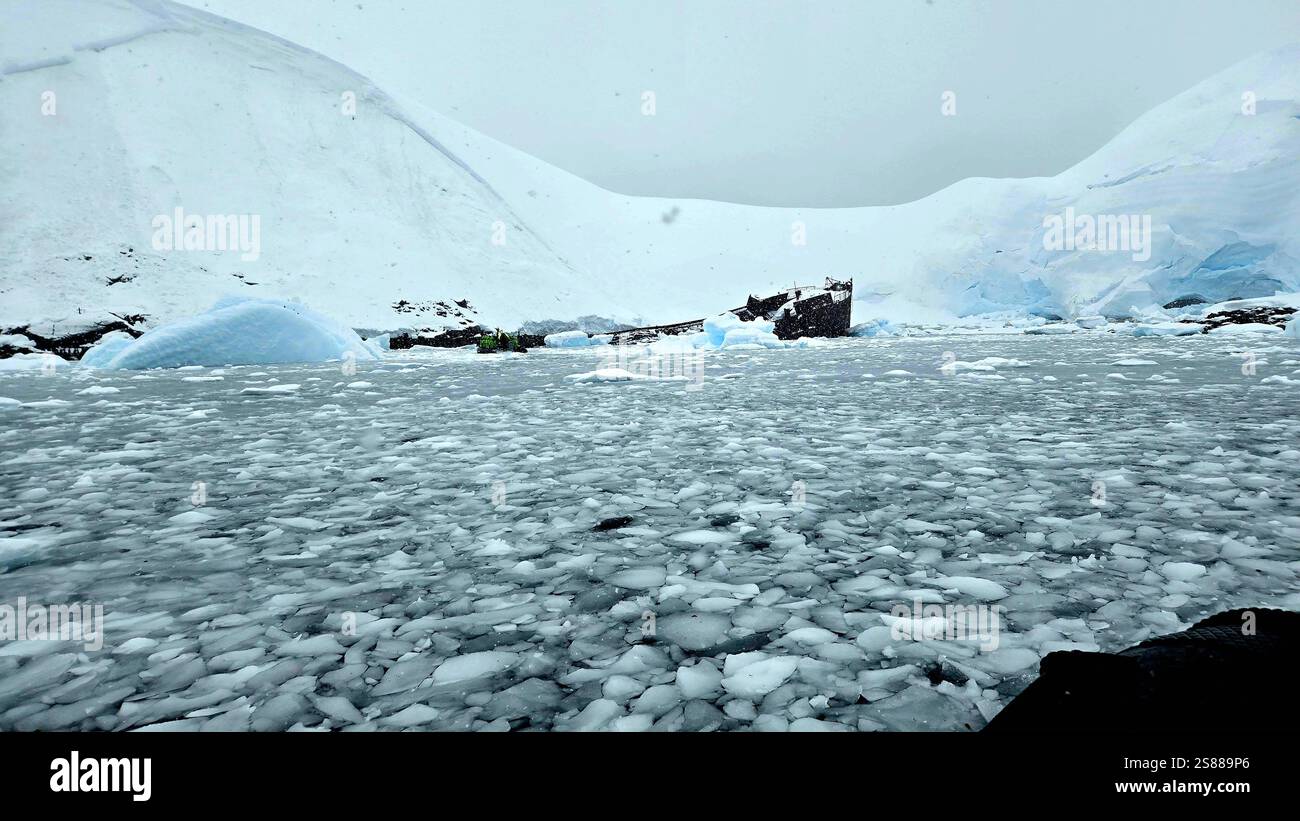 Shipwreck in Antarctica - Smartphone Captured Stock Image