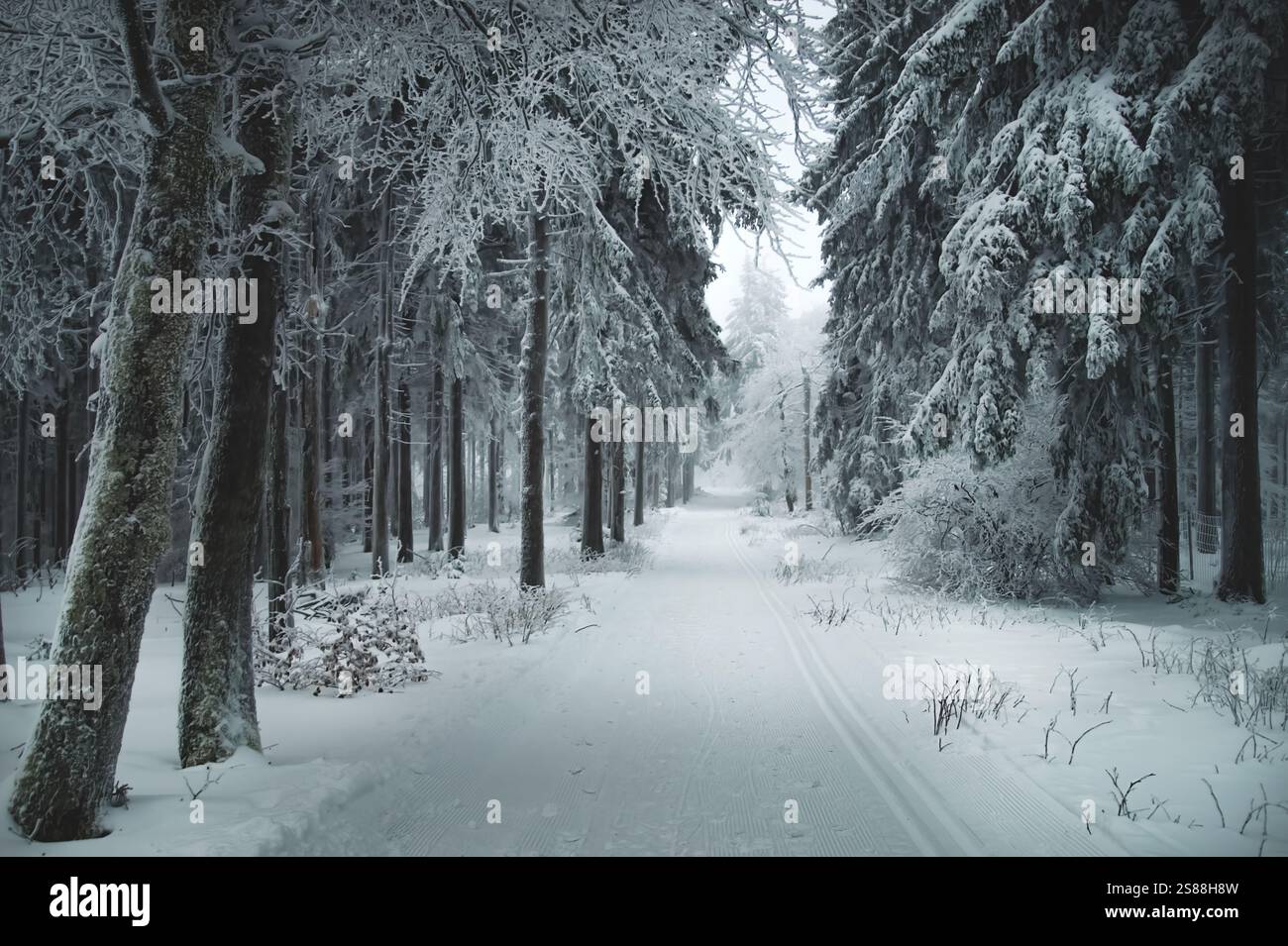 Snowy Thuringian Forest Stock Photo