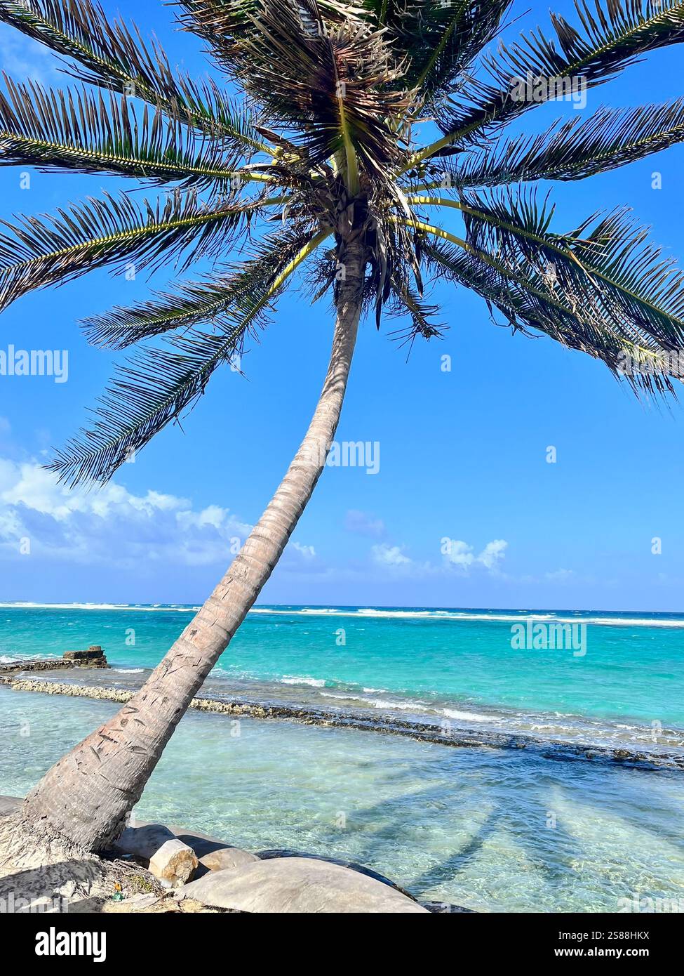 San Luis, paradise beach in San Andres Island - Smartphone Captured Stock Image
