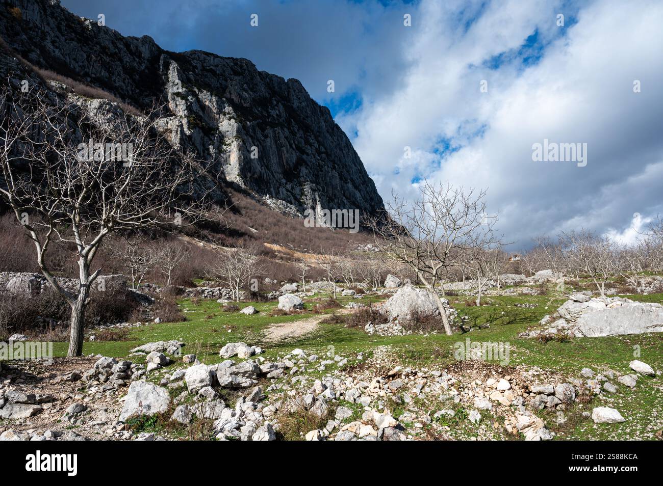 Fallen stone and rock formation with a mountain background at Gamti Mountain, Albania Stock Photo