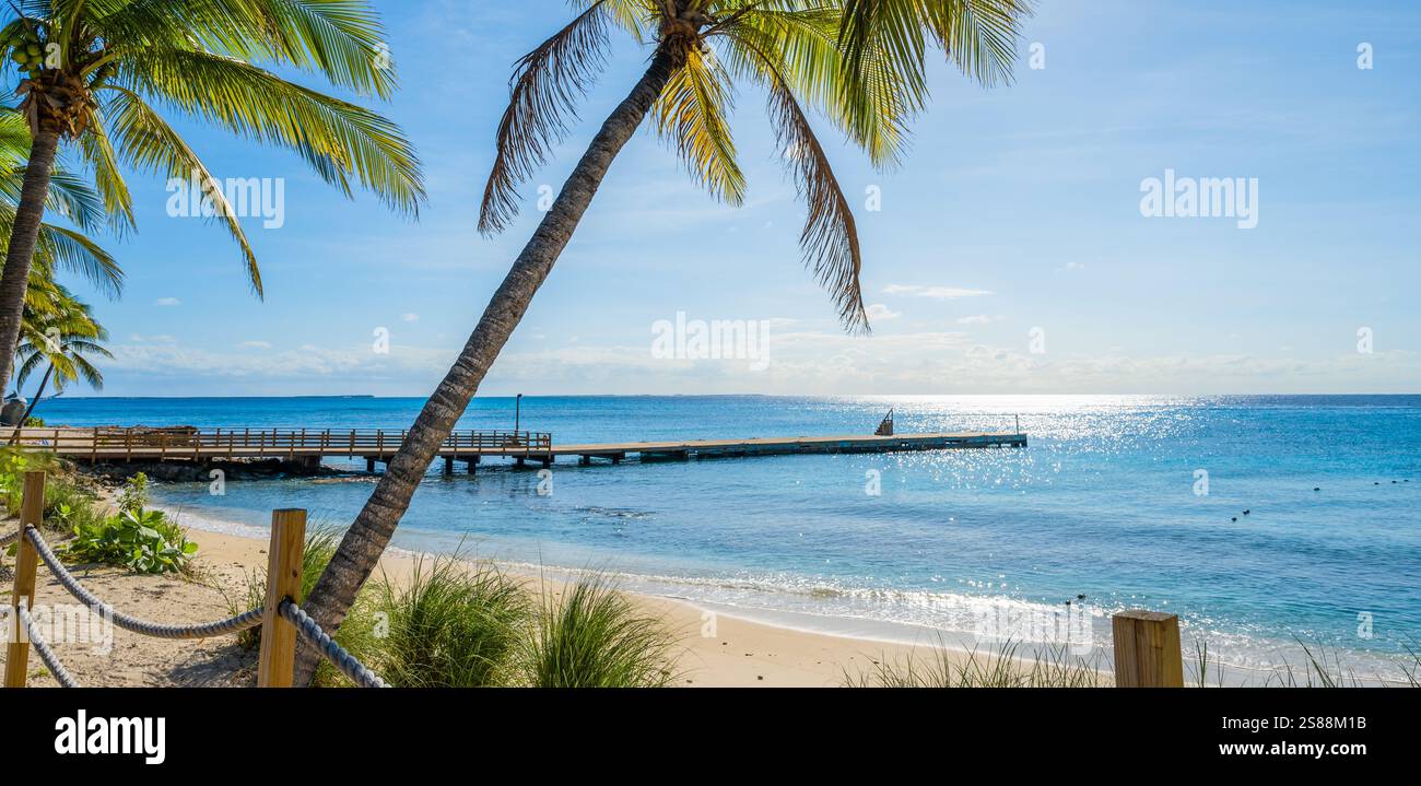 Beautiful beach tropical palm hi-res stock photography and images - Alamy