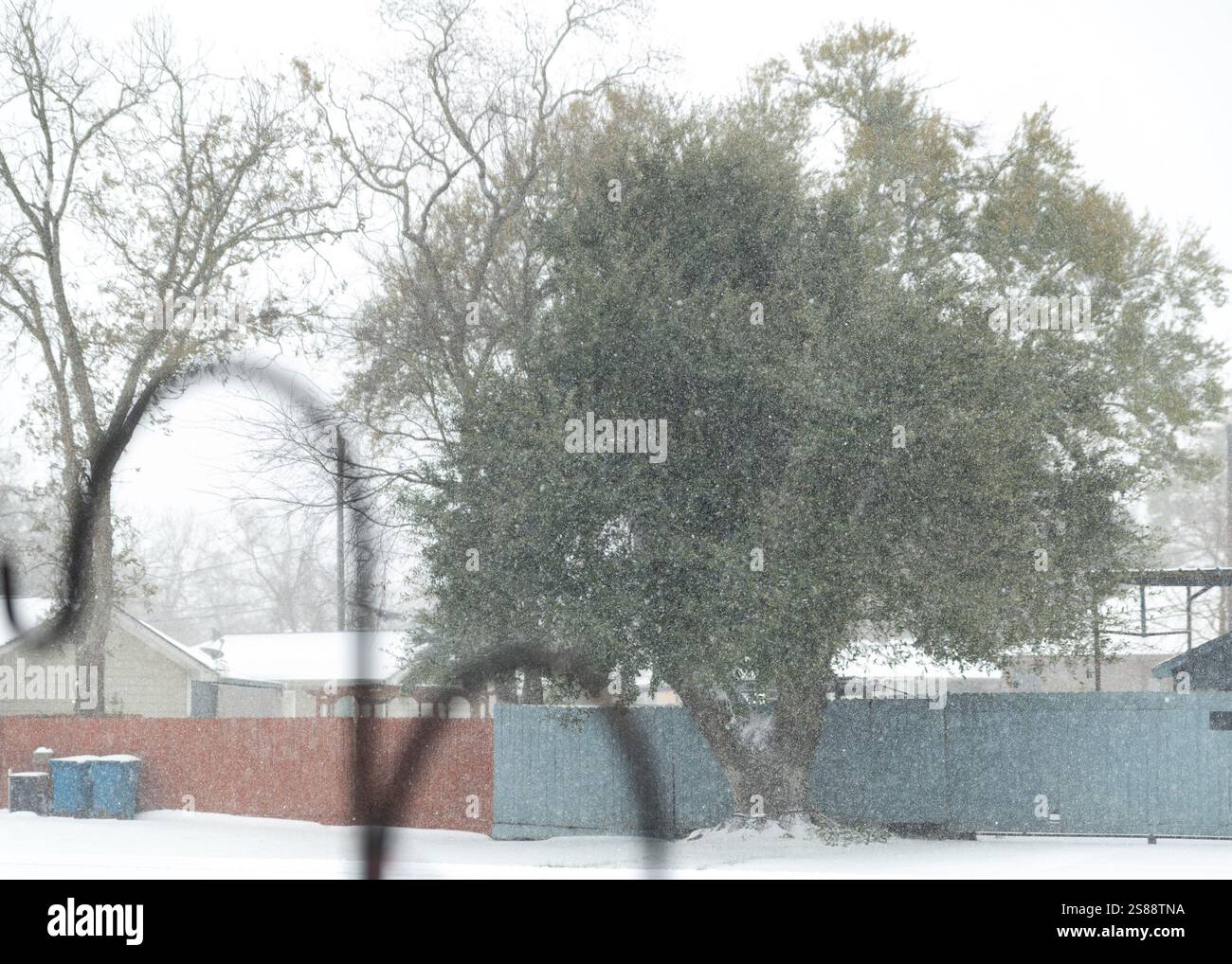 The city of South Houston is blanketed in snow as winter storm Enzo ...