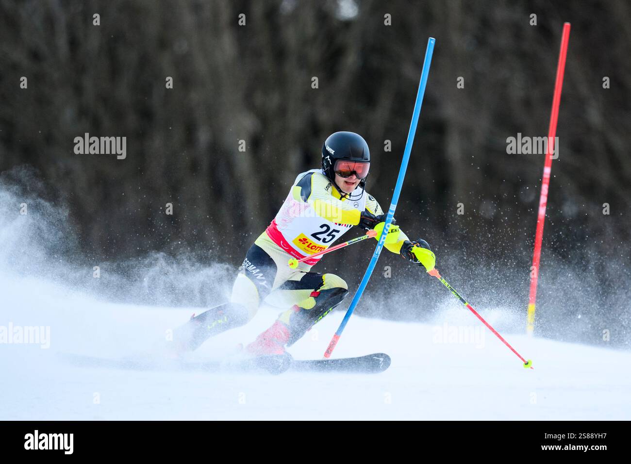 Feldberg, Germany. 21st Jan, 2025. Alpine skiing: FIS Para Alpine Ski ...