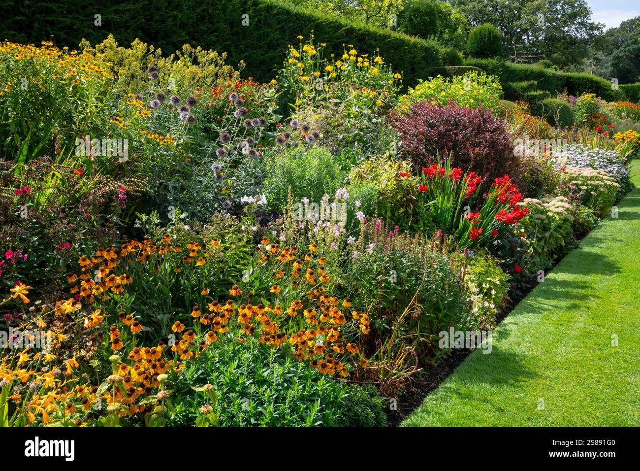 Perennial borders hi-res stock photography and images - Alamy
