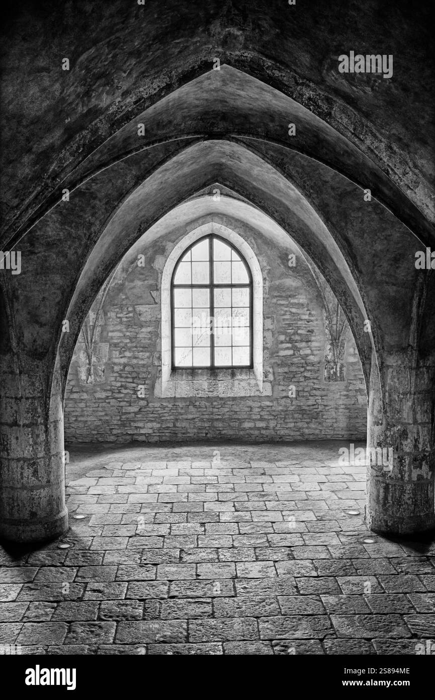 Window light streams in to illuminate the vaults of the Corpus Christi Chapel in the town of Kutna Hora in Czechia. In black and white. Stock Photo