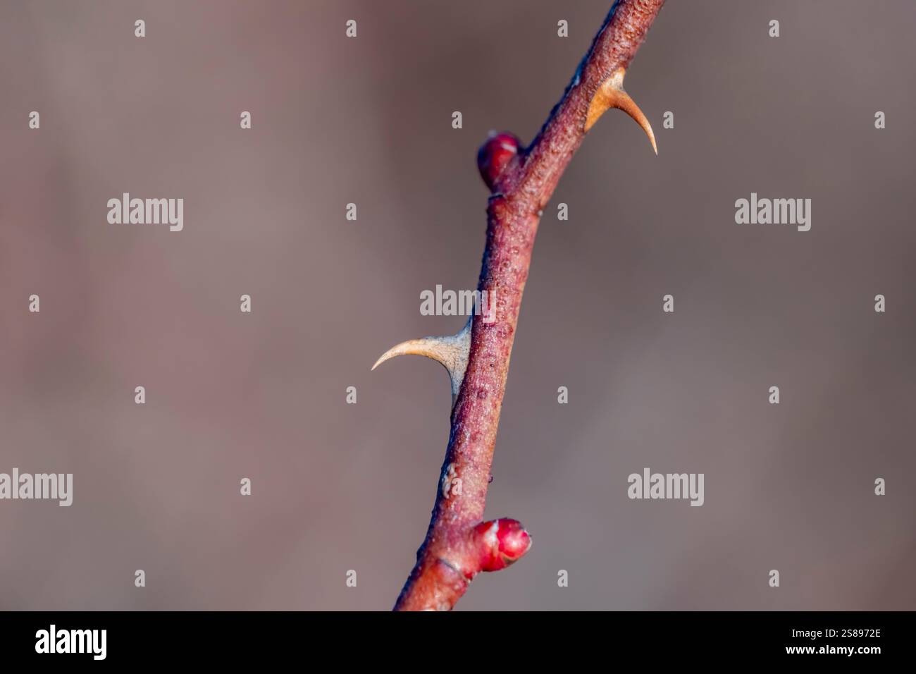 Point A Sharp End Sharp end hi-res stock photography and images - Alamy