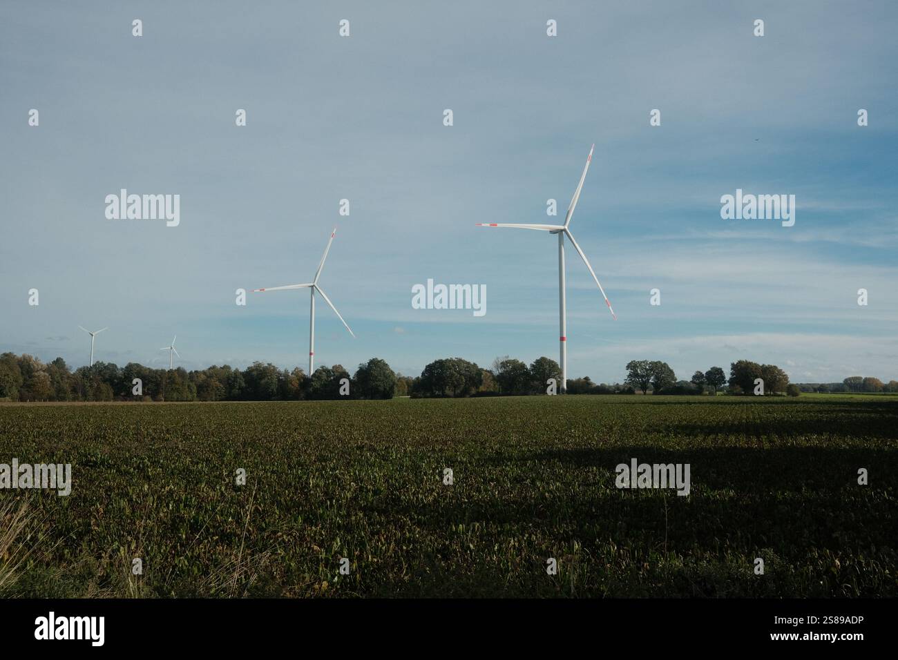 Two wind turbines are in a field with a blue sky in the background. The ...