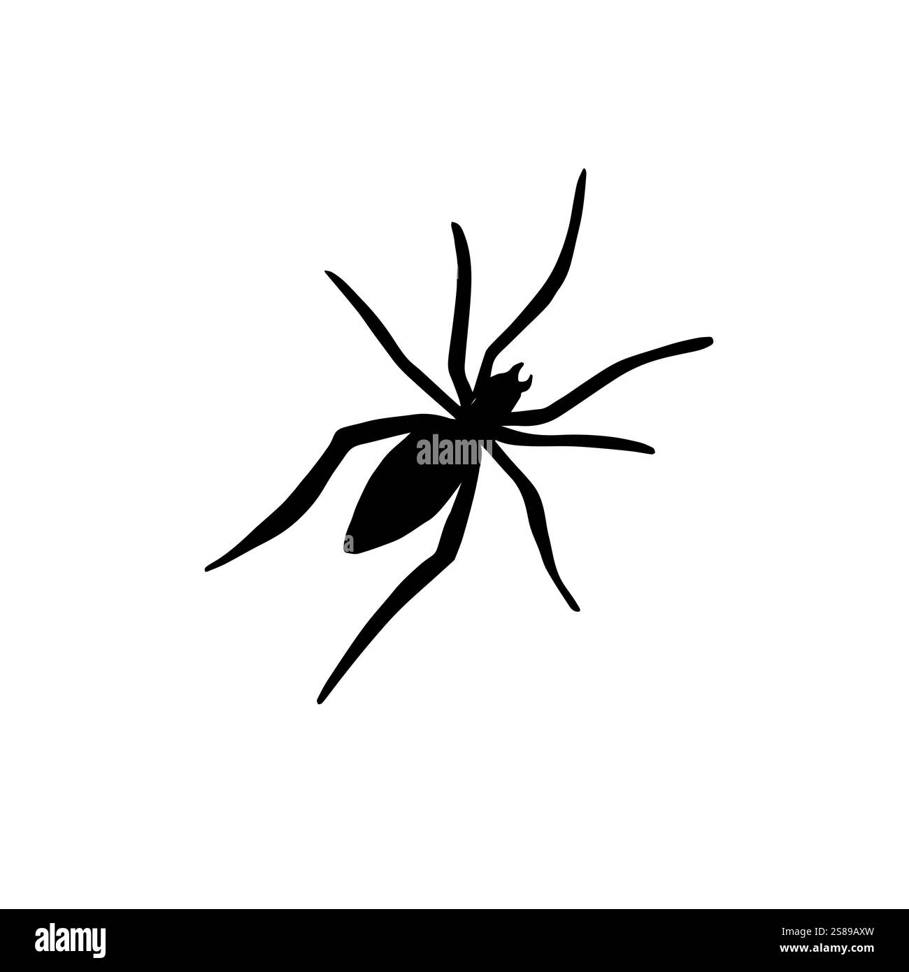 Vector black spider silhouette isolated on white background Stock ...