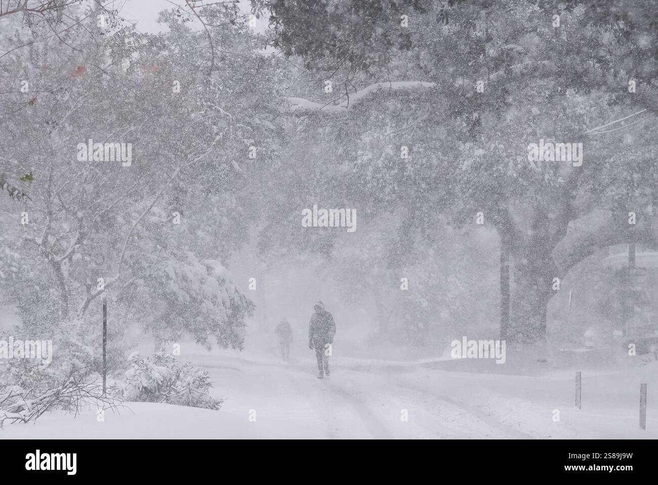 People walk as snow falls in New Orleans, Tuesday, Jan. 21, 2025. (AP